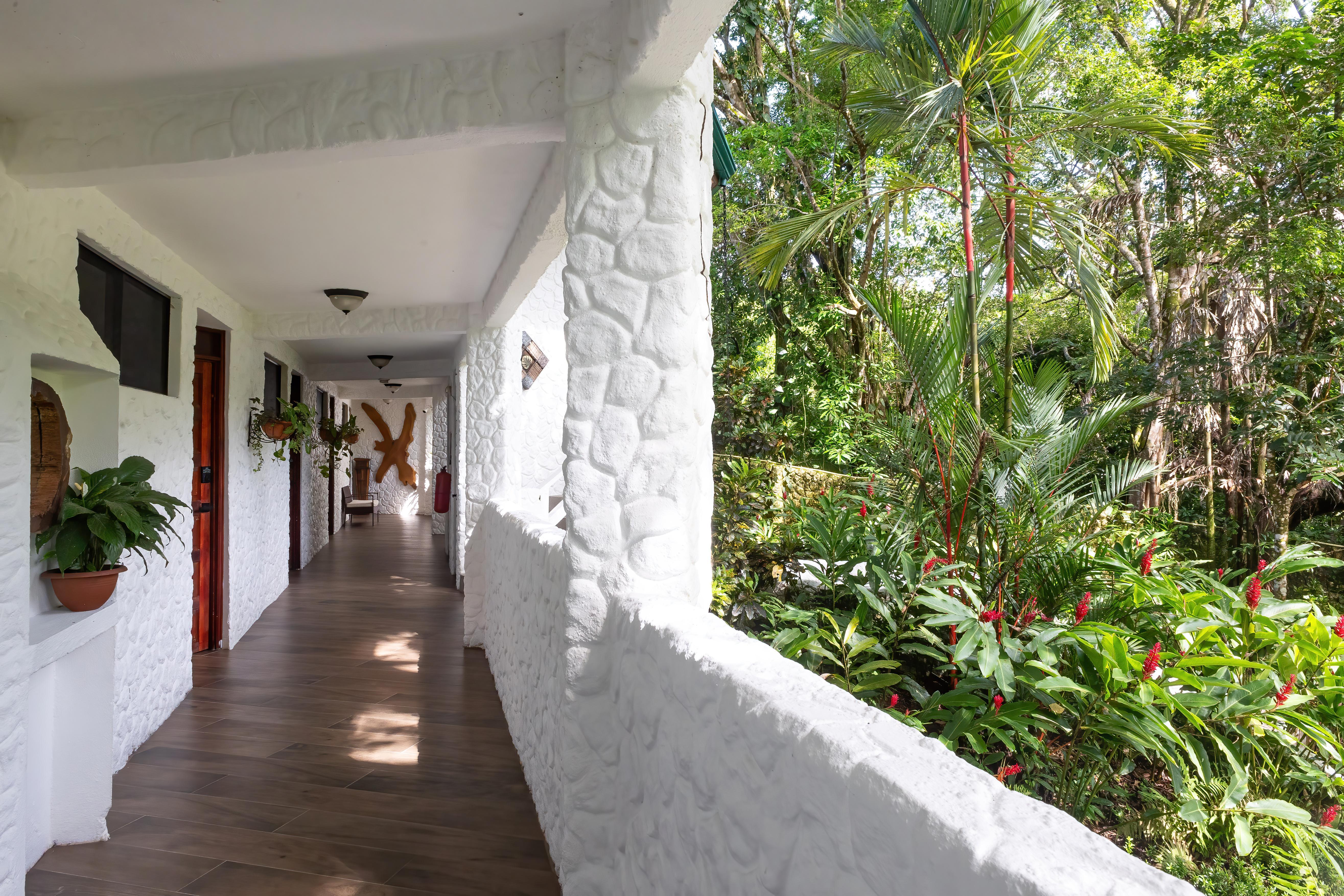 Ecotica Boutique Hotel (Adults Only) Manuel Antonio Dış mekan fotoğraf