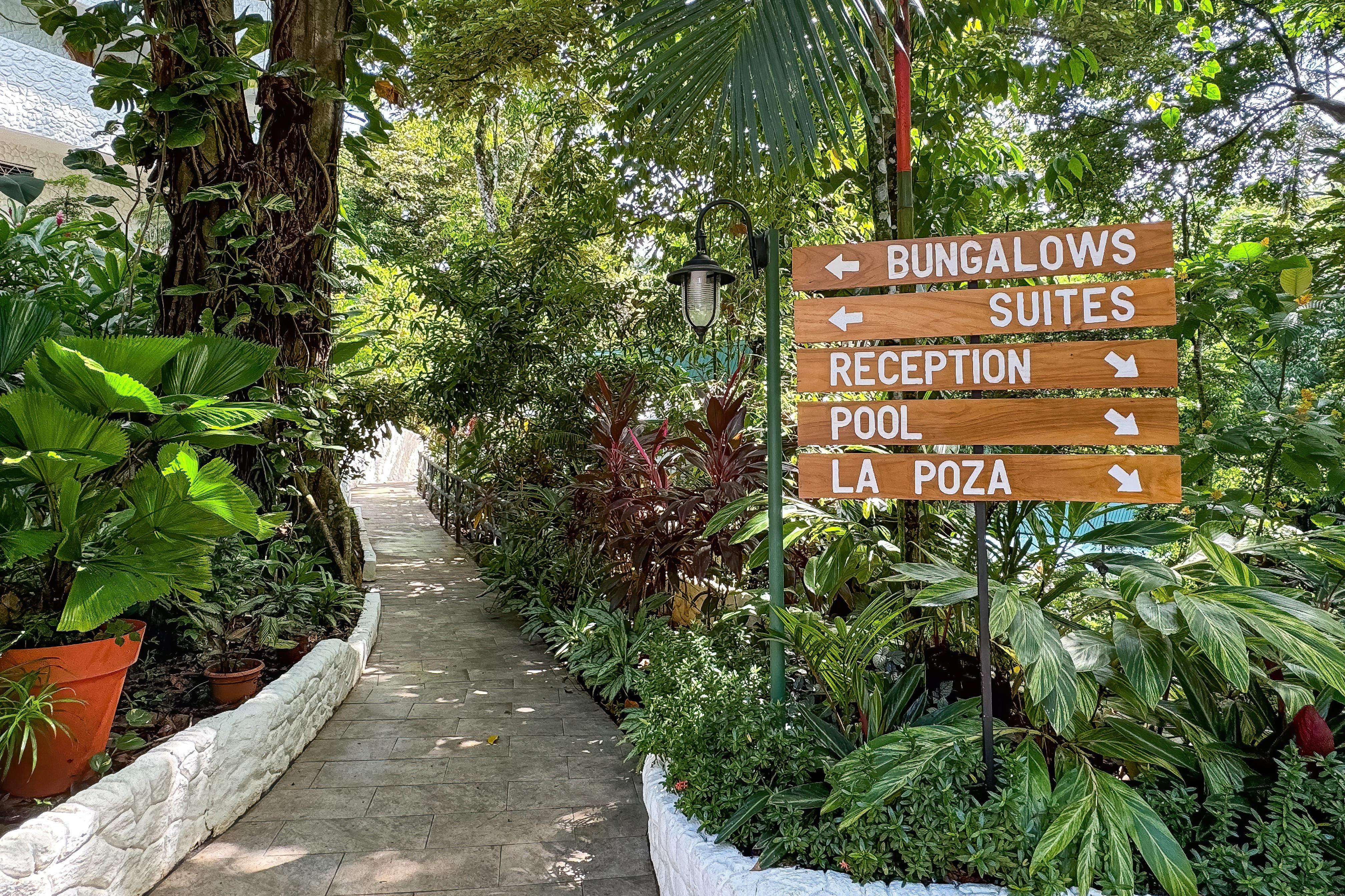 Ecotica Boutique Hotel (Adults Only) Manuel Antonio Dış mekan fotoğraf