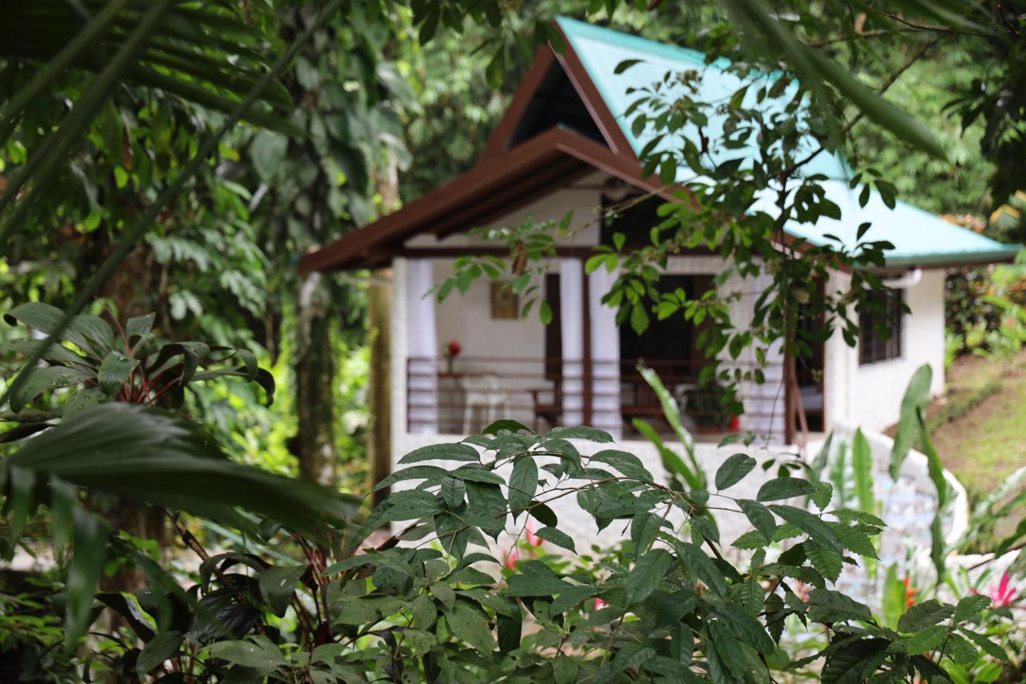 Ecotica Boutique Hotel (Adults Only) Manuel Antonio Dış mekan fotoğraf